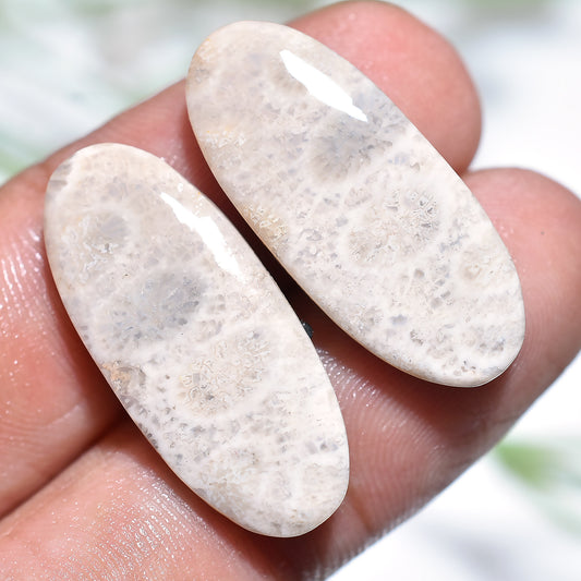 Fancy Shaped Fossil Coral Pair Gemstone - Designer Cabochon for Jewelry Making