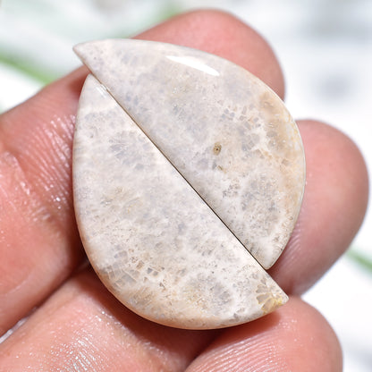 Exquisite Fossil Coral Matching Pair - Fancy Loose Fossil Coral for Custom Earring Making