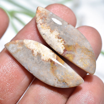 Fossil Coral Earrings Pair, Natural Gemstones for Custom Jewelry Designs