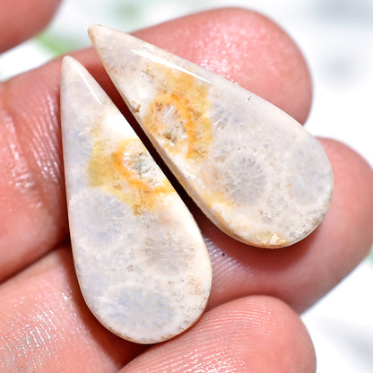 Floral Patterned Fossil Coral Pair for Jewelry Making-Natural Gemstone Cabochons Set(11x18x3mm,/15ct)