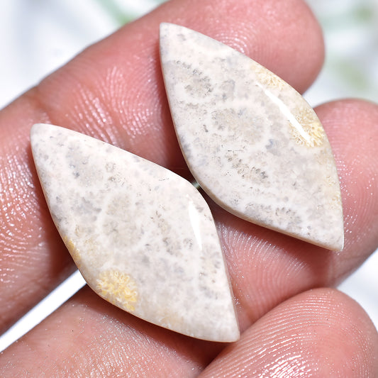 Attractive Fossil Coral Gemstone  Pair - Polished Flat back Cabochons Set for DIY