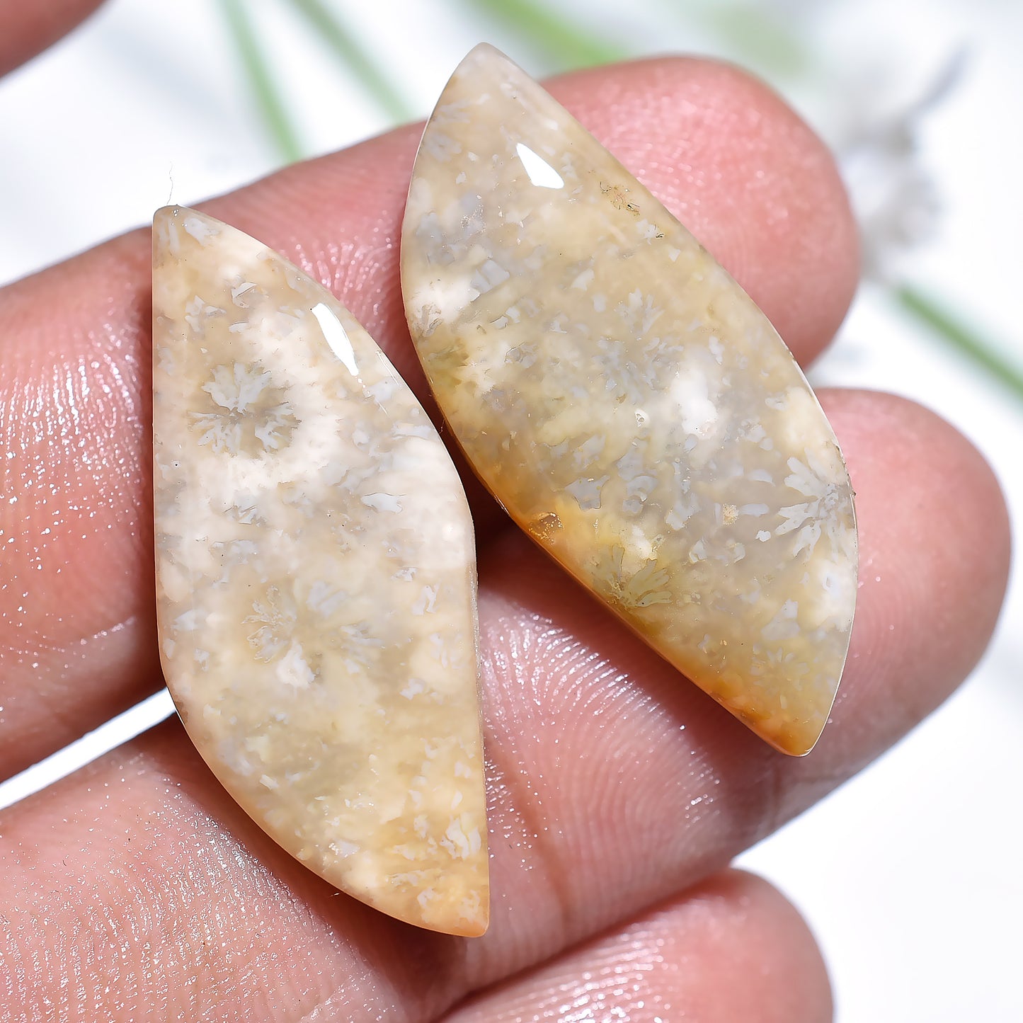 Genuine Fossil Coral Earring Pair – Handmade Natural Gemstones