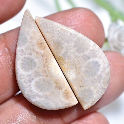 Exquisite Fossil Coral Cabochon Set – Rare Organic Jewelry Stones