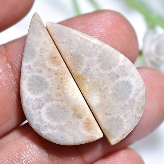 Exquisite Fossil Coral Cabochon Set – Rare Organic Jewelry Stones