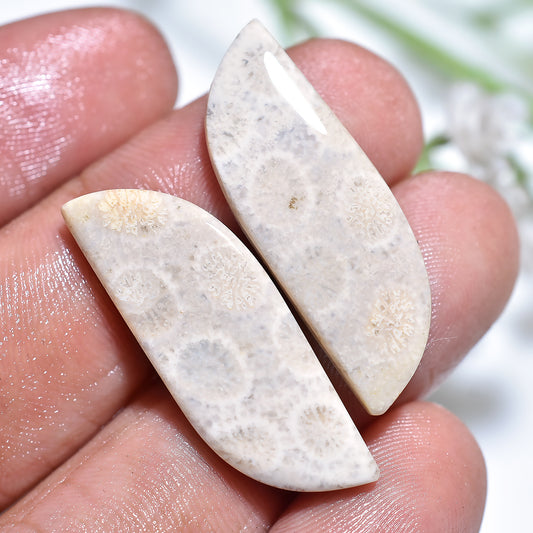 Unique Fossil Coral Jewelry Stones – Handcrafted Square Matching Pair