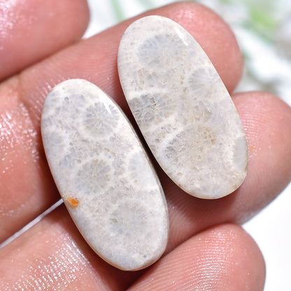 Wholesale Fossil Coral Cabochons Pair - Natural Floral Patterned Gemstone Set for Earrings Making (11x32x3mm,/30ct)