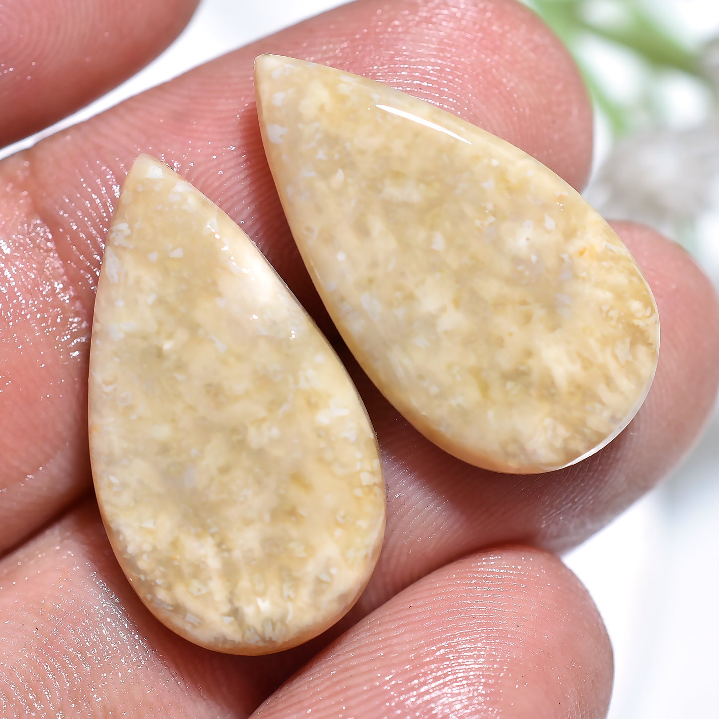 Fossil Coral Gemstone Pairs – Pear-Shaped, Smooth Cabochons for Earrings