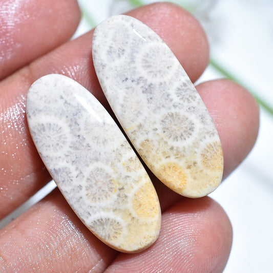 Polished Fossil Coral Matching Pair, Unique Jewelry-Making Gemstones