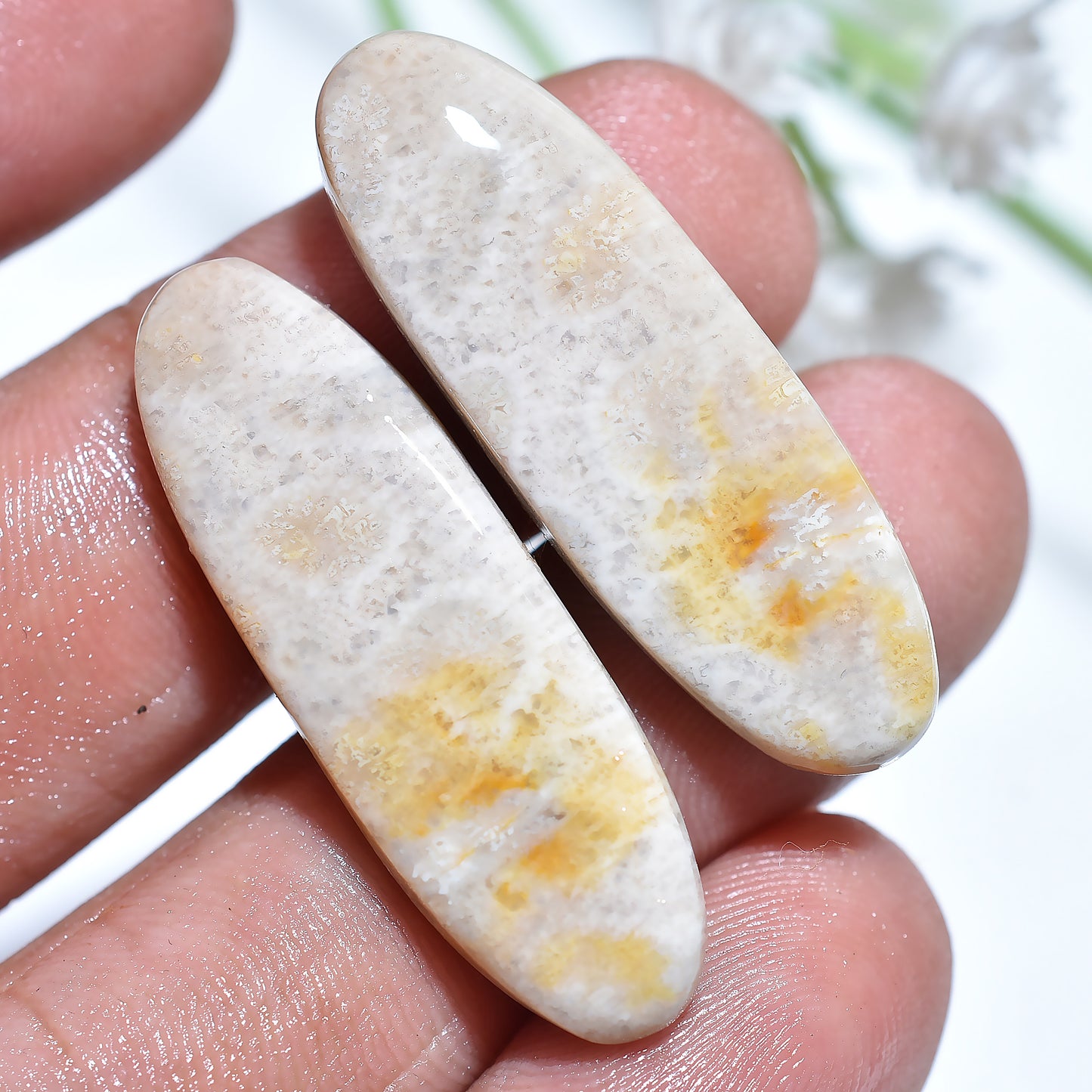 Eternal Reef Fossil Coral Gemstone Pair – Texture Oval Cut Stone Set for Wholesale Jewelry