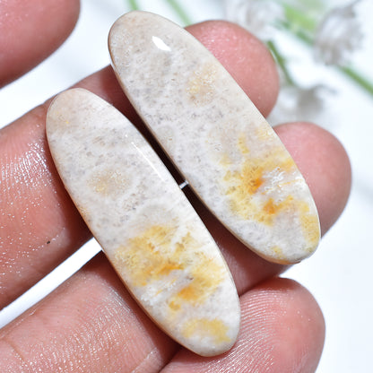 Eternal Reef Fossil Coral Gemstone Pair – Texture Oval Cut Stone Set for Wholesale Jewelry