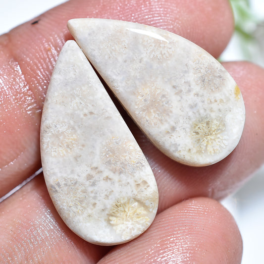 Ancient Reef Fossil Coral Gemstone Pair –  Wholesale Natural Matched Stone Set For Jewelry