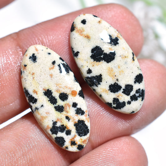 Oval Shaped Dalmatian Jasper Pair Cabochon, Crystal Loose Jasper Matching Pair