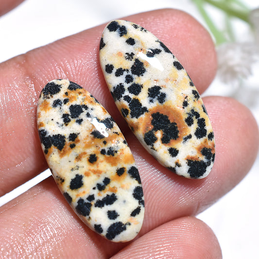 Dalmatian Jasper Pair Cabochon – Oval Shaped Polished Gemstone for Earrings