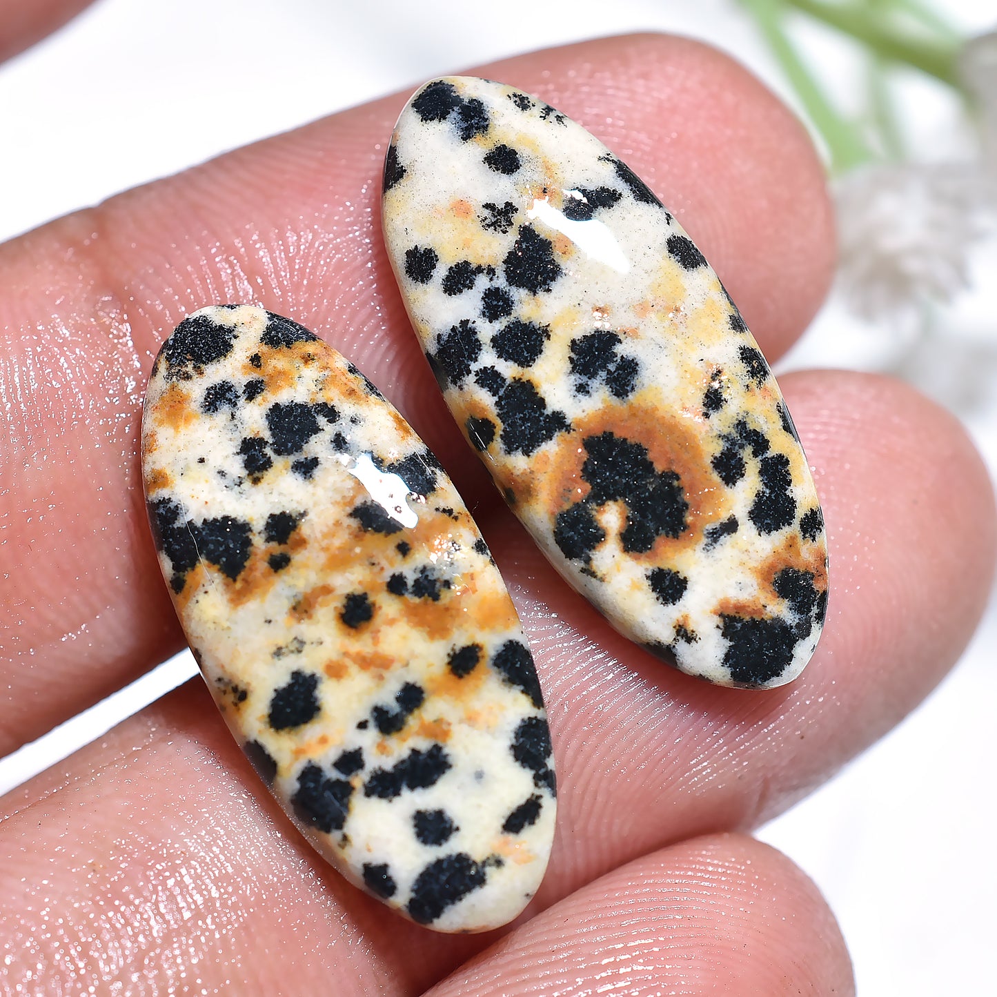 Dalmatian Jasper Pair Cabochon – Oval Shaped Polished Gemstone for Earrings