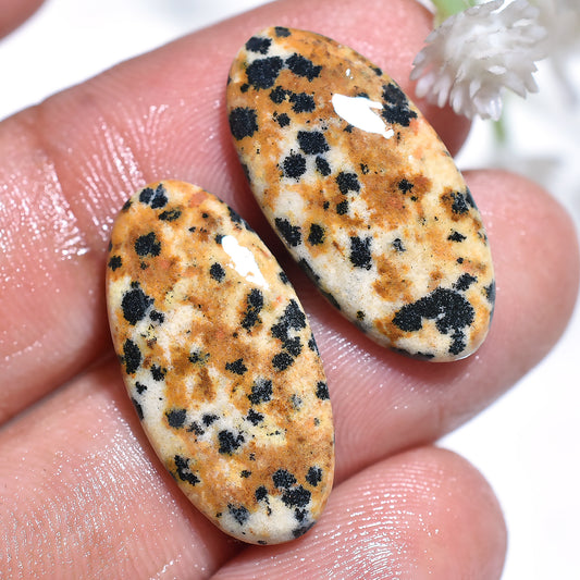 Dalmatian Jasper Matching Pair – Natural Gemstones for Craft & Jewelry