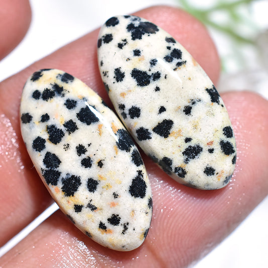 Natural Dalmatian Jasper Pair – Polished Cabochons for Earrings & Jewelry (11x22x2mm,/16ct)