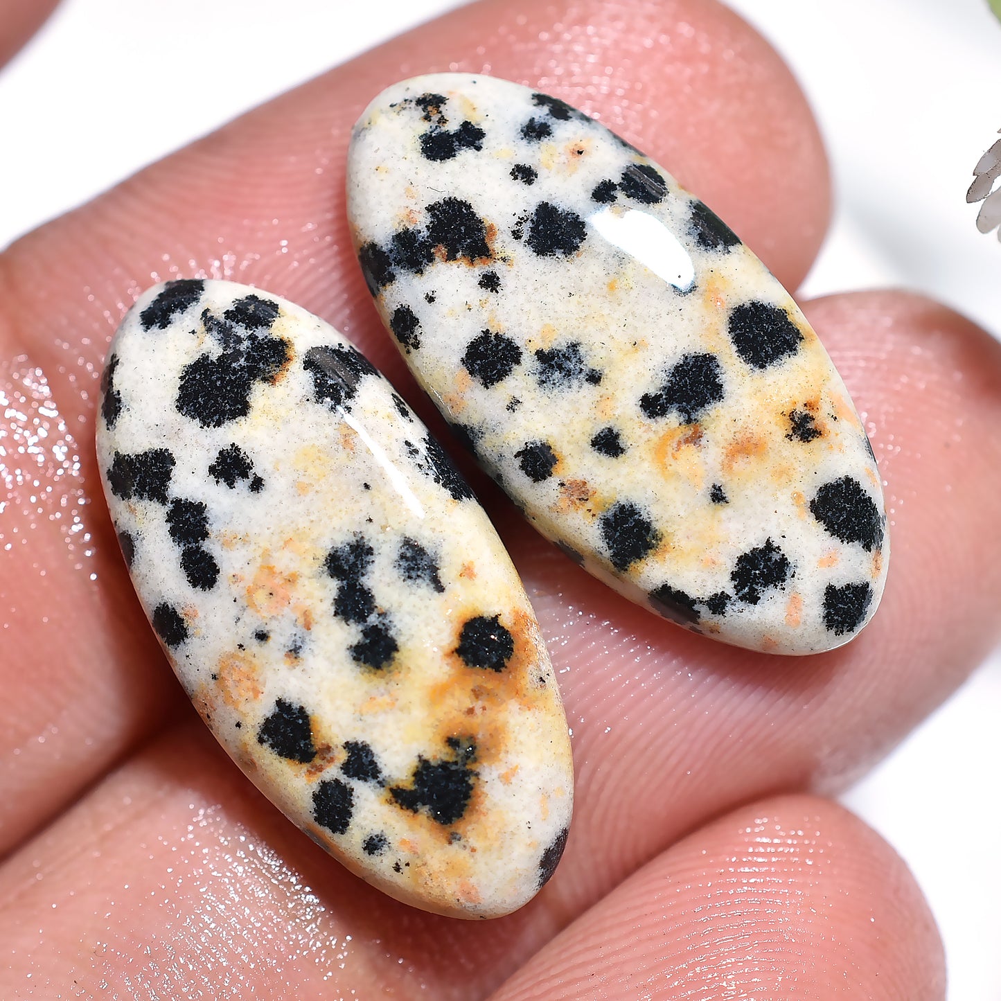 Dalmatian Jasper Polished Pair – Fancy Shape Natural Stones for Earrings