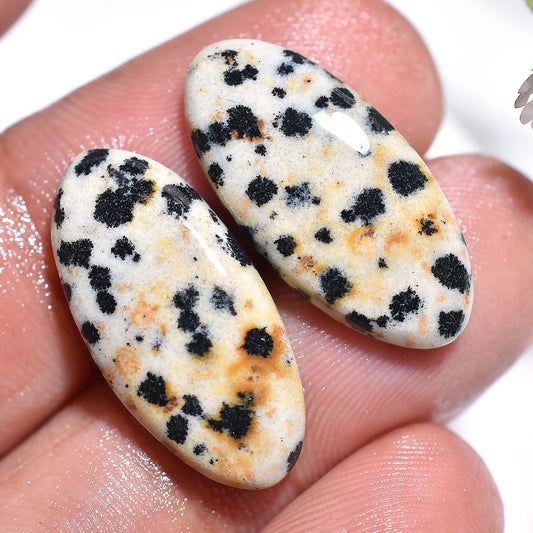 Dalmatian Jasper Polished Pair – Fancy Shape Natural Stones for Earrings