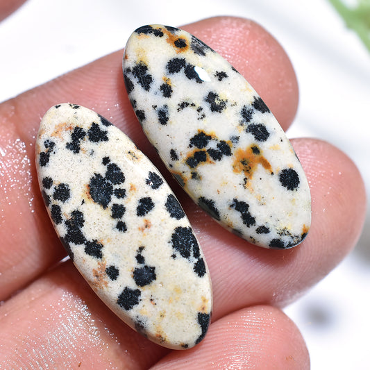 Oval Dalmatian Jasper Pair – Polished Gemstones for Earrings & Pendants