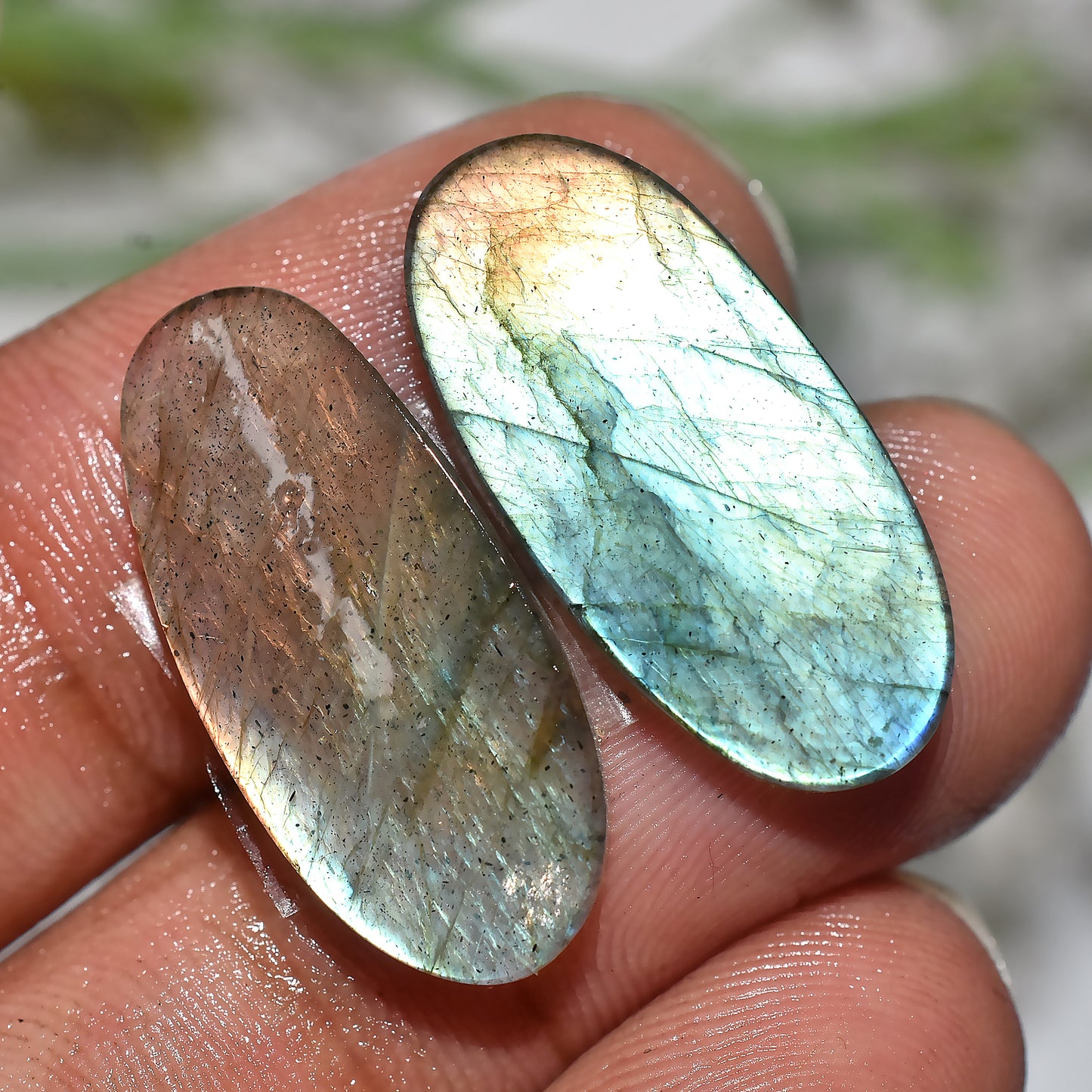 Labradorite Cabochon Pair | Polished Crystal Stones for Earrings