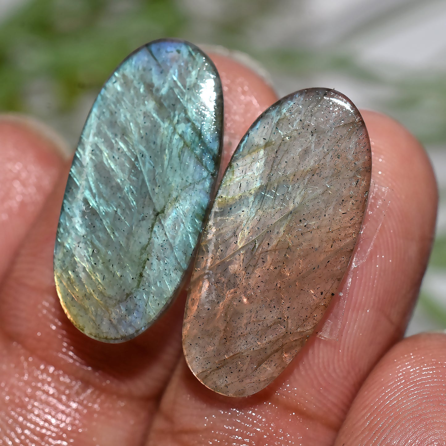 Labradorite Cabochon Pair | Polished Crystal Stones for Earrings