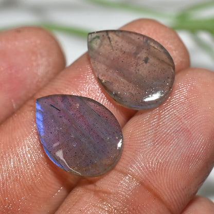 Labradorite Crystal Pair | Natural Stones for Jewelry Designers(11x16x2mm,/9ct)