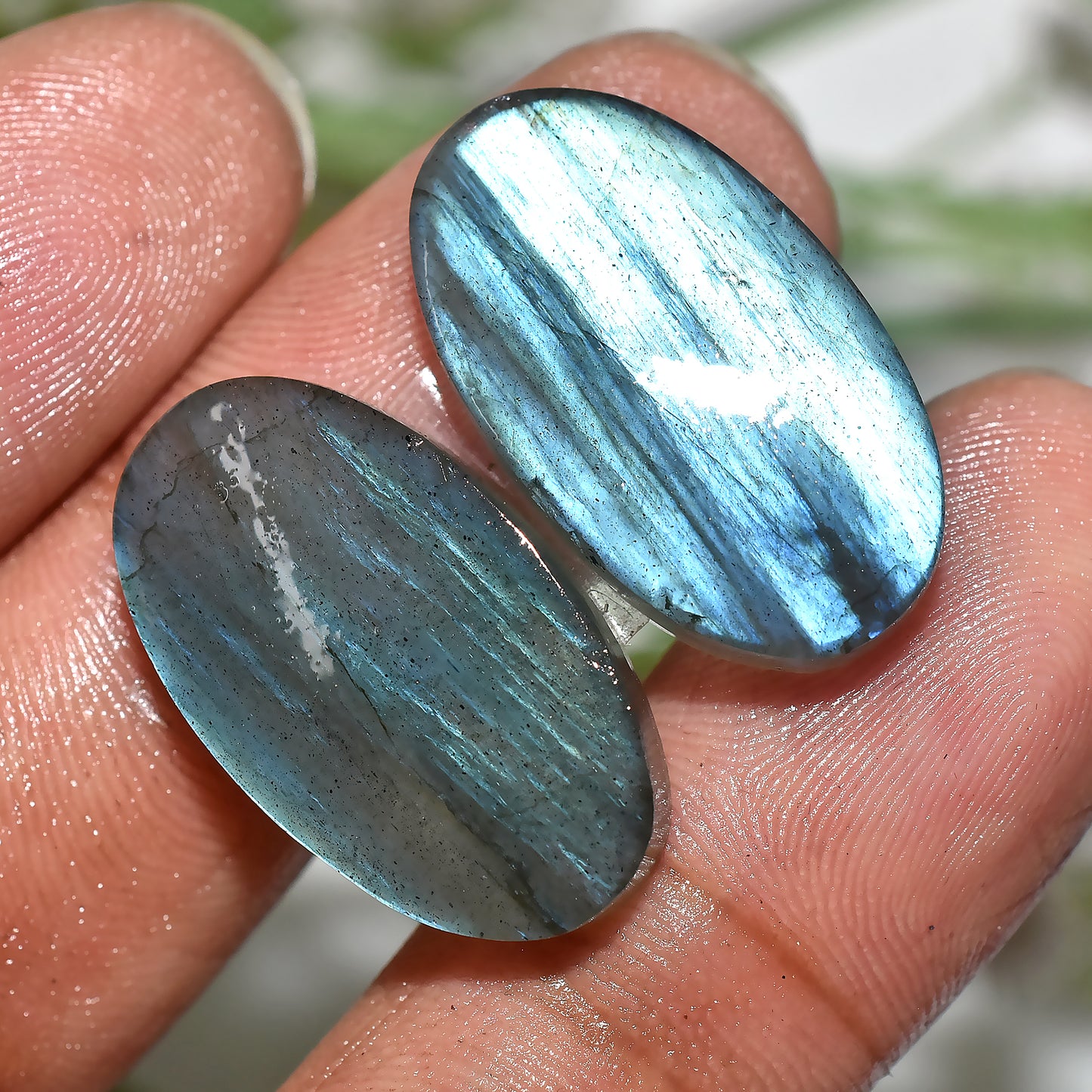 Labradorite Matched Pair | Blue Flash Cabochons for Earrings(12x23x3mm,/28ct)