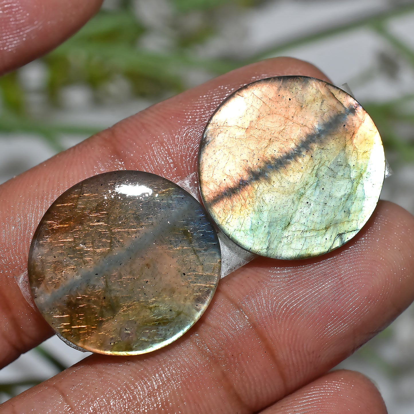 Labradorite Pair for Earrings | Polished Cabochon Set(20x20x3mm,/32ct)