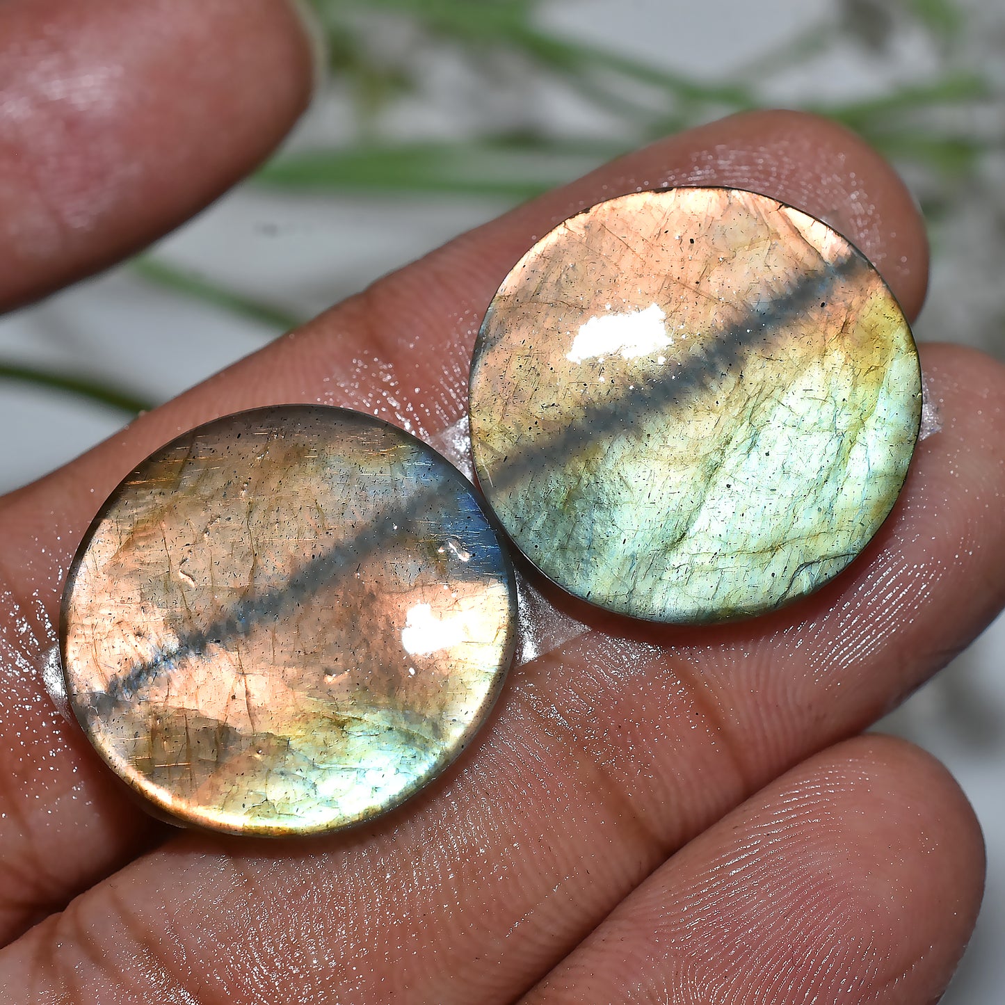Labradorite Pair for Earrings | Polished Cabochon Set(20x20x3mm,/32ct)
