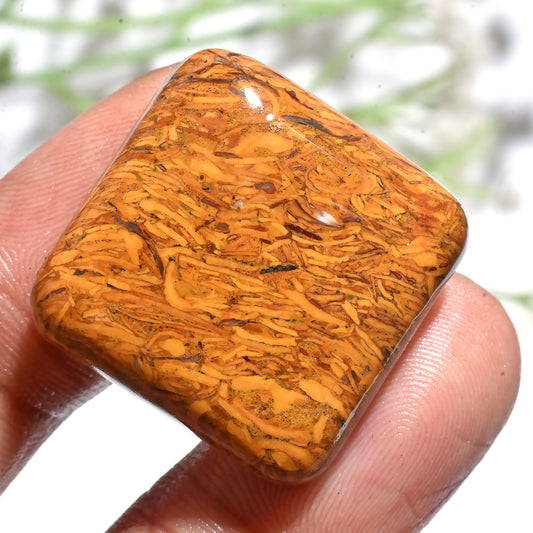 Square Shape Mariam Jasper Cabochon – Designer Smooth Natural Gemstone for Jewelry (23x23x5mm,/48ct)