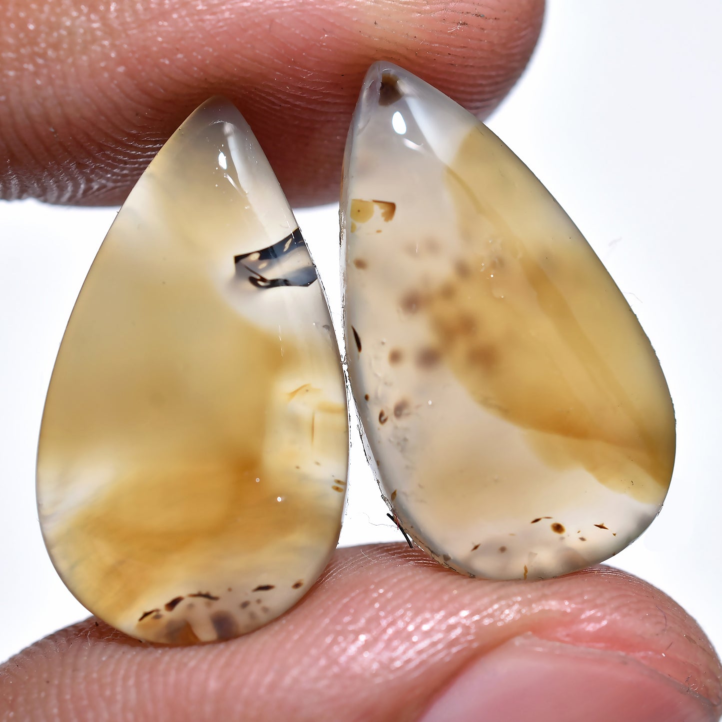 Natural Montana Agate Pair - Wholesale Flat Back Cabochons
