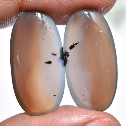 Natural Montana Agate Pair - Wholesale Flat Back Cabochons