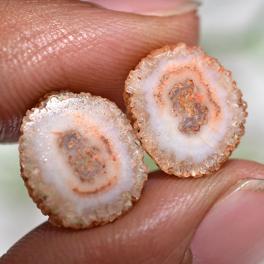 Beautiful! Solar Quartz Stalactite Slice Earrings Pair Stone (11x12x2mm,/9ct)