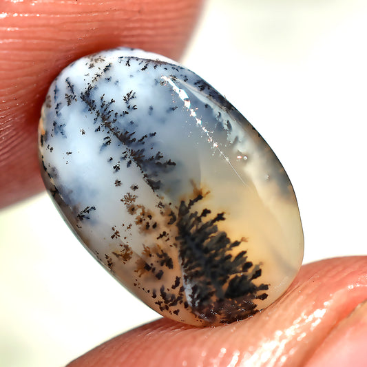 Elegant Dendrite Opal Cabochon, Oval Smooth Stone With Tree Patterns (7x12x2mm,/2ct)
