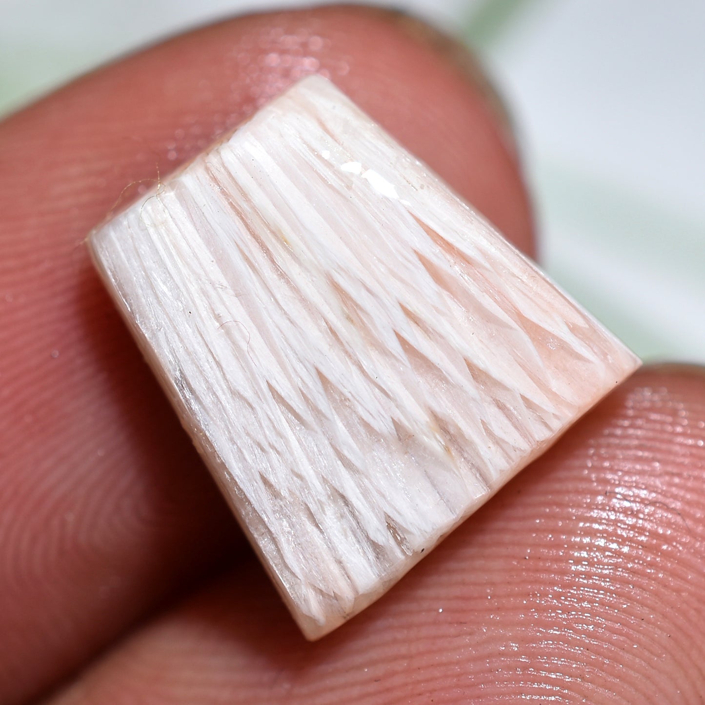 Fancy Shaped Scolecite Textured Smooth Polished Cabochon