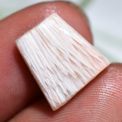 Fancy Shaped Scolecite Textured Smooth Polished Cabochon
