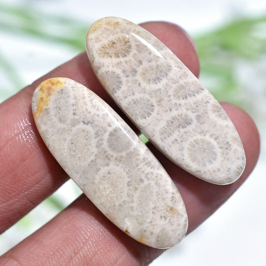 Unique Patterned Fossil Coral Pair for Jewelry Making-Natural Gemstone Cabochons Set (10x33x2mm,/33ct)