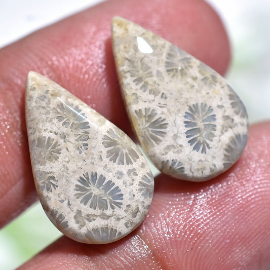 Floral Patterned Fossil Coral Pair for Jewelry Making-Natural Gemstone Cabochons Set(11x18x3mm,/15ct)