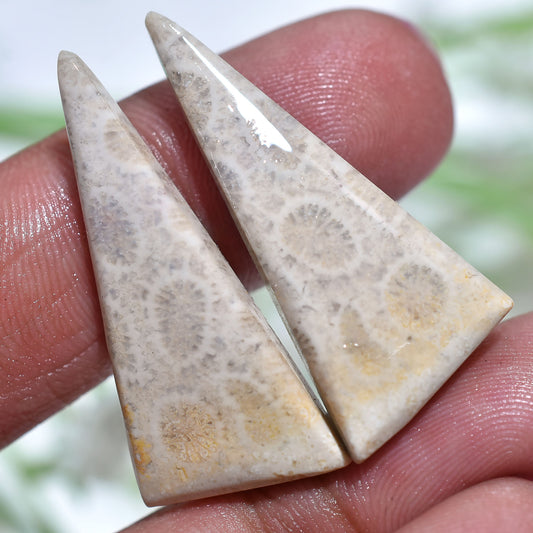 Stunning Fossil Coral Cabochons Pair - Polished Flat Back Gemstone Set for Earrings Making (10x35x3mm,/28ct)