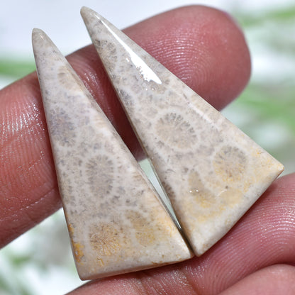 Stunning Fossil Coral Cabochons Pair - Polished Flat Back Gemstone Set for Earrings Making