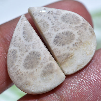 High Quality Fossil Coral Cabochons Pair - Floral Patterned Gemstone Set for Earrings Making( 12x20x3mm,/22ct)