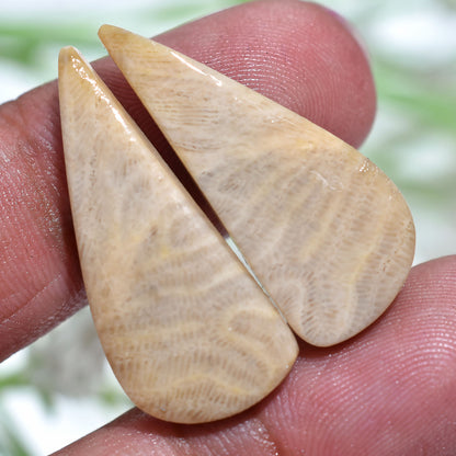 Natural Fossil Coral Gemstone  Pair - Polished Fancy Cabochons Set for Jewelry Making(11x28x3mm,/21ct)
