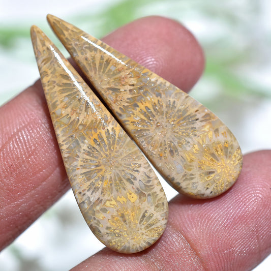 Precious Fossil Coral Gemstone  Pair - Polished Fancy Cabochons Set for DIY (12x35x3mm,/26ct)
