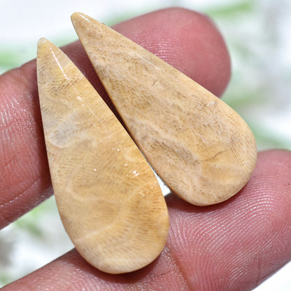 Natural Fossil Coral Gemstone  Pair - Polished Fancy Cabochons Set for DIY(12x30x3mm,/23ct)