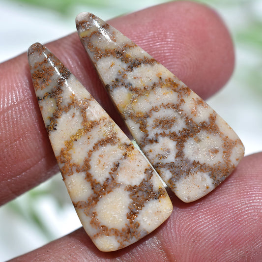 Attractive Fossil Coral Gemstone  Pair - Polished Flat backCabochons Set for DIY (10x27x3mm,/19ct)