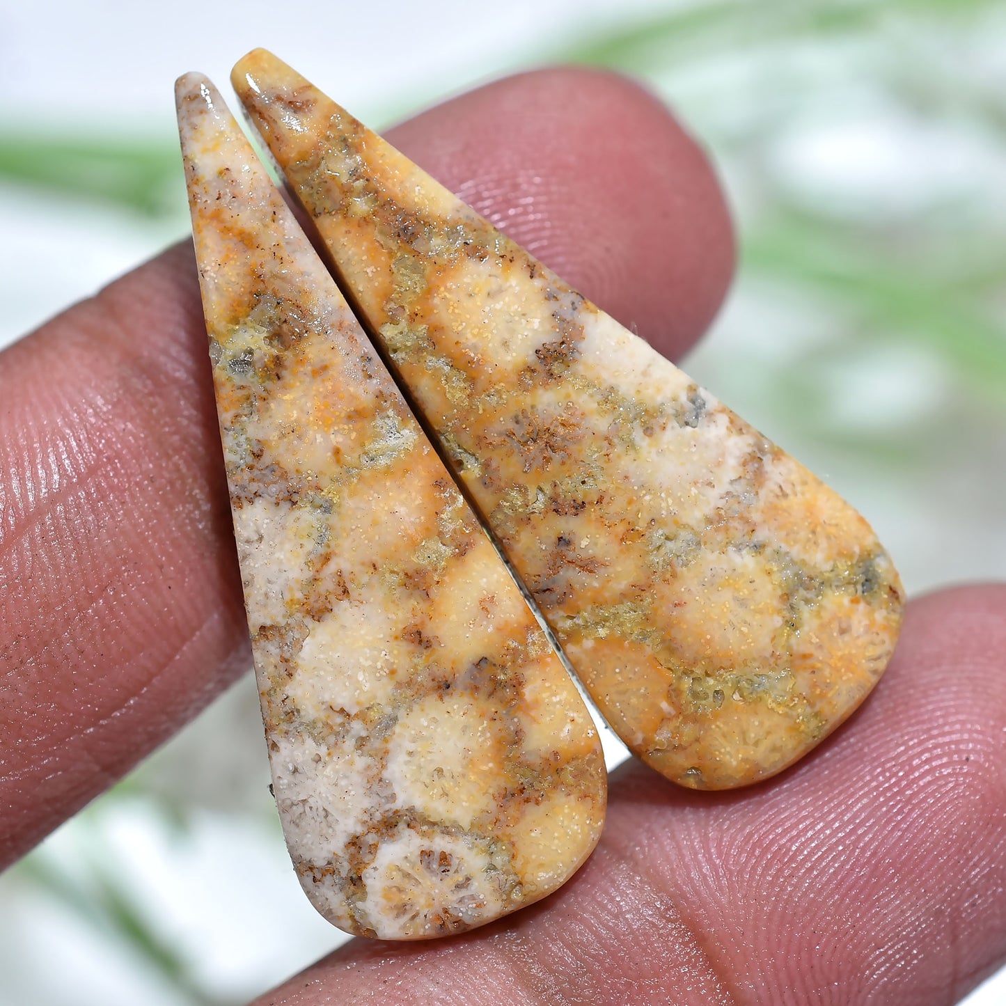 High Quality Fossil Coral Gemstone  Pair - Polished Flat Back Cabochons Set for Earrings Jewelry (12x36x3mm,/26ct)