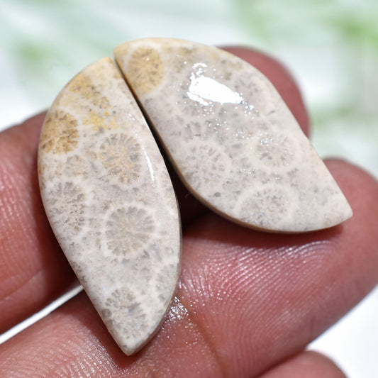 Genuine Fossil Coral Earring Pair – Handmade Natural Gemstones(10x25x3mm,/23ct)