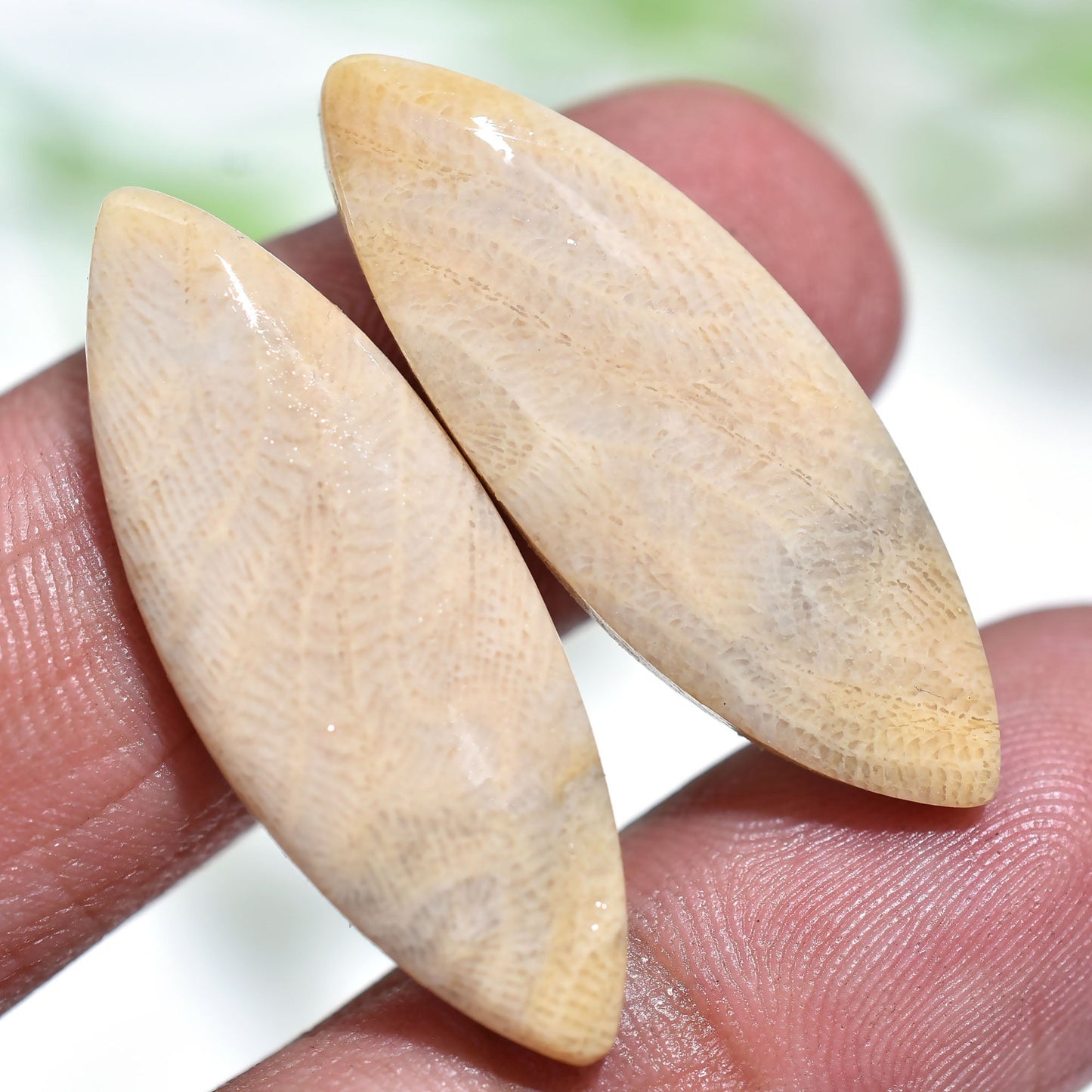 Handmade Fossil Coral Cabochon Pair – Perfect for Jewelry Making (11x31x3mm,/24ct)