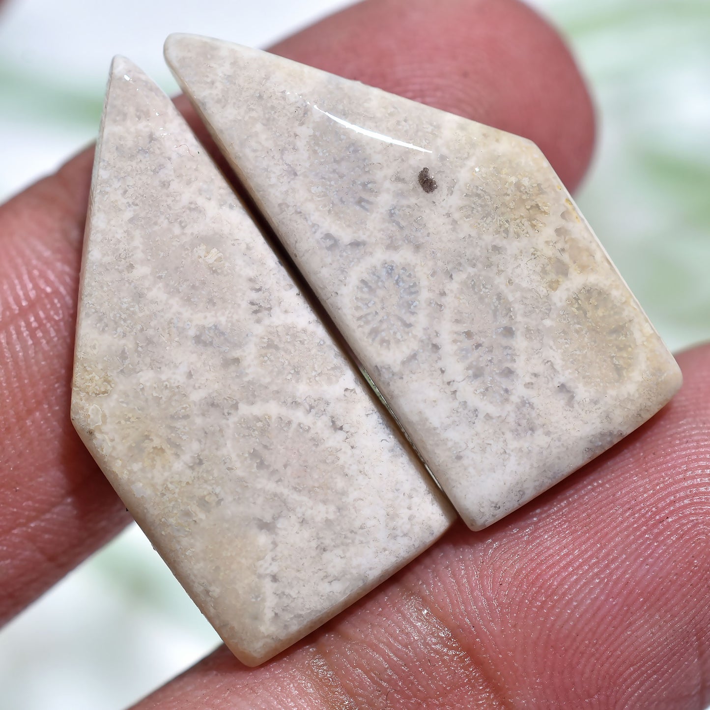 Premium Fossil Coral Cabochon Pair – Unique Fossilized Gemstones(10x25x3mm,/28ct)