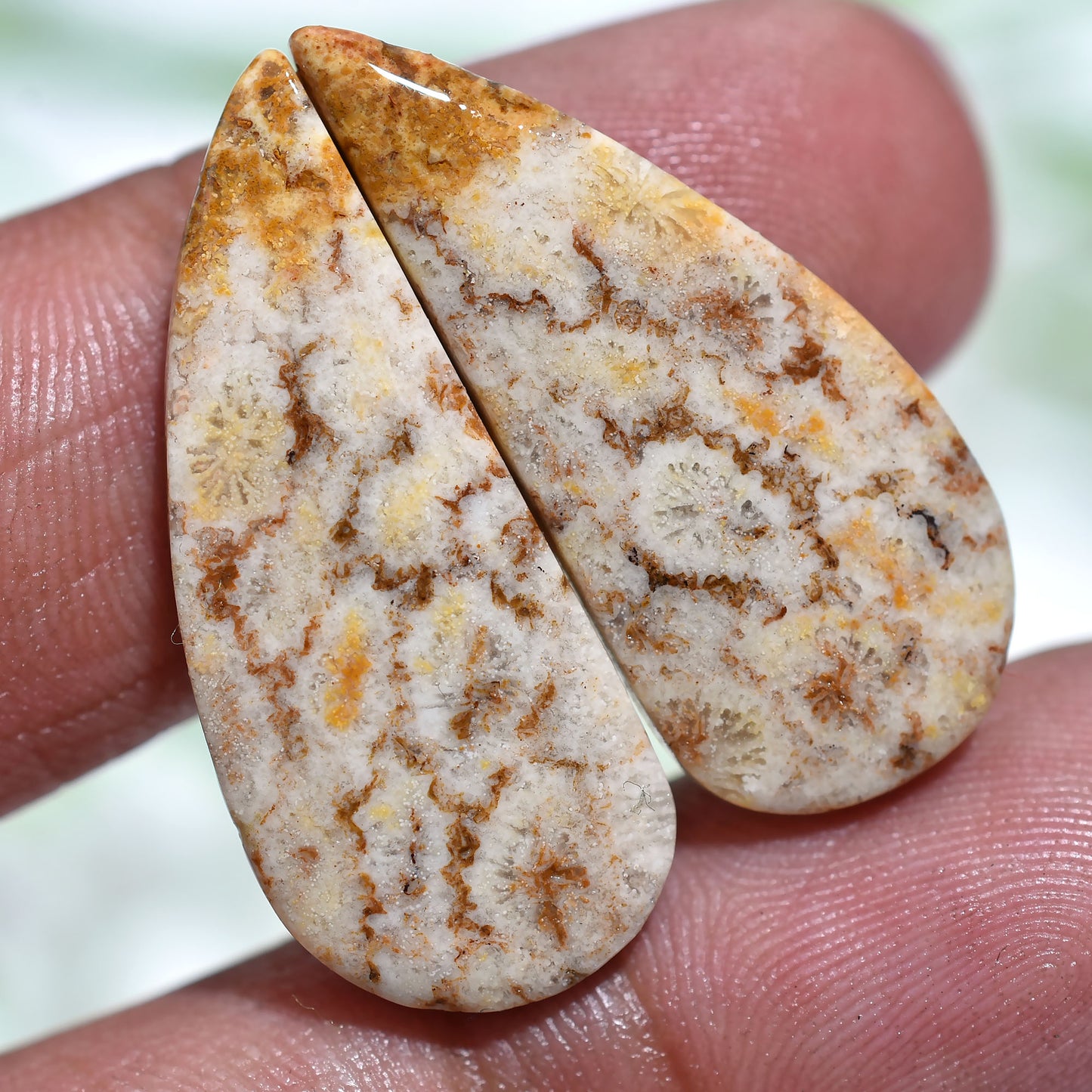 Handcrafted Fossil Coral Cabochon Pair – Earthy Tone Gemstones for Earrings